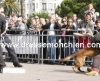 Unité cynophile-Brigade canine de la Police Municipale par dressemonchien.com 